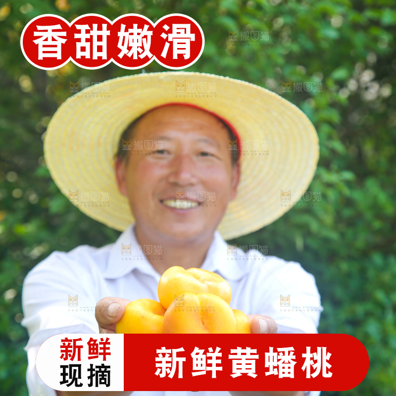 农民手上拿着的黄油蟠桃