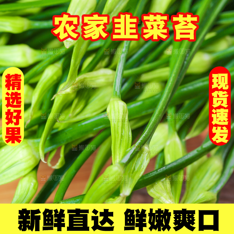 木底上放着韭苔