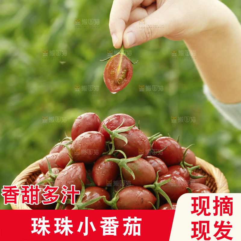 篮子里装着紫葡萄小番茄
