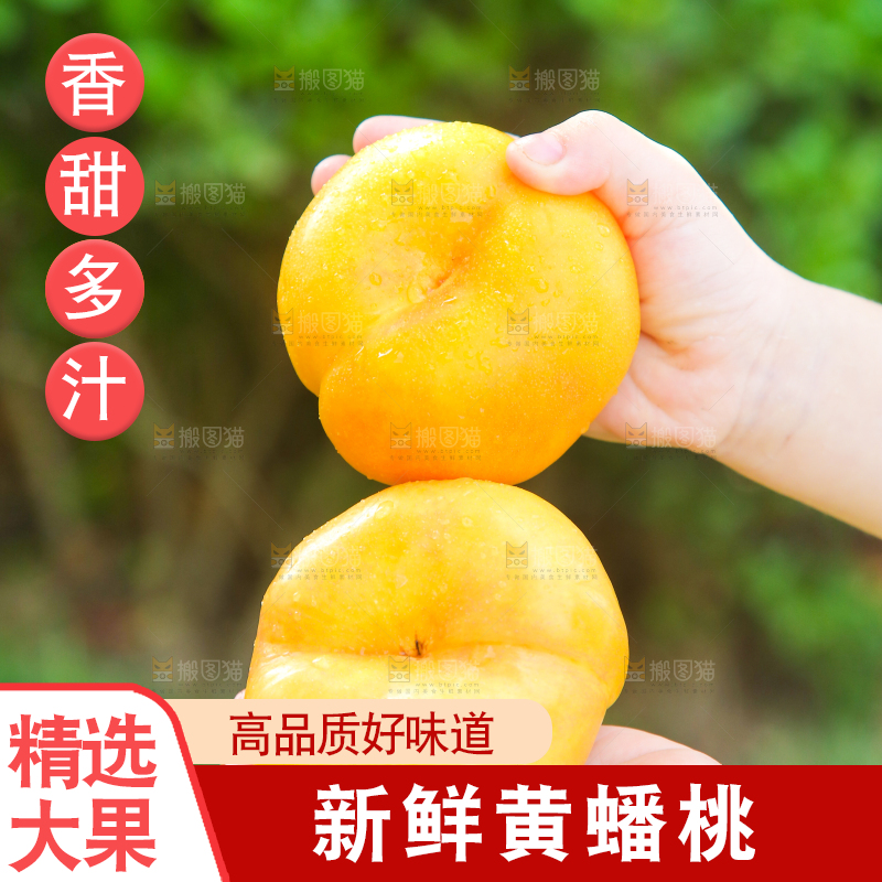 手拿着的黄金蟠桃