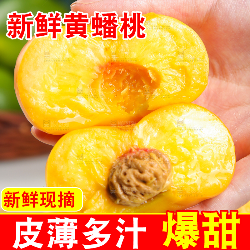 手拿着的蒙阴黄蟠桃