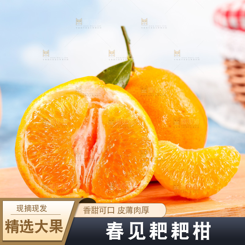 木板上的四川春见