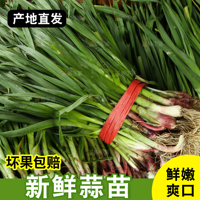 一堆大蒜苗