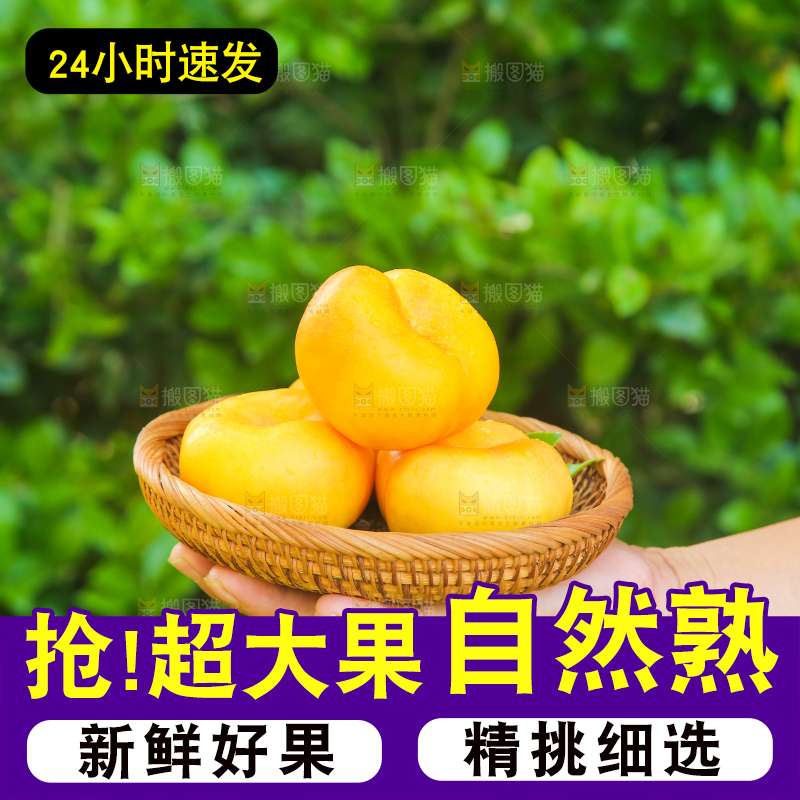 手拿着一篮蒙阴黄蟠桃