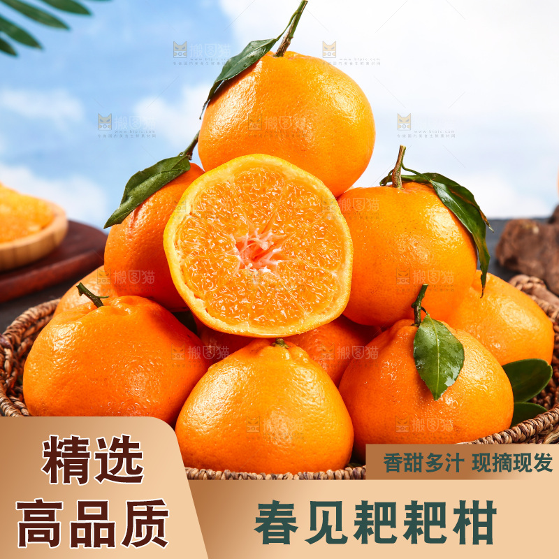 篮子里的新鲜耙耙柑