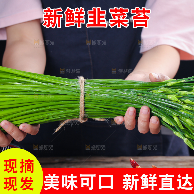 手上捧着韭苔