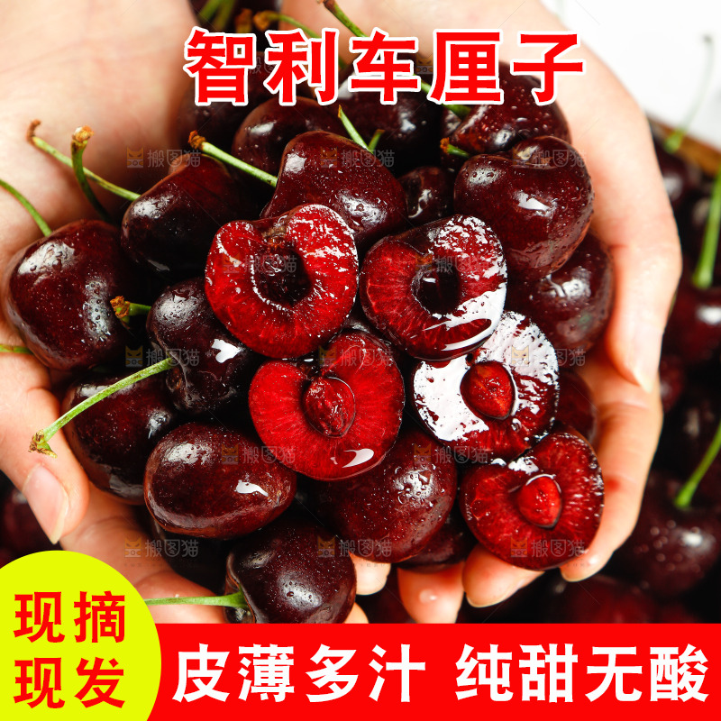 手里捧着进口车厘子