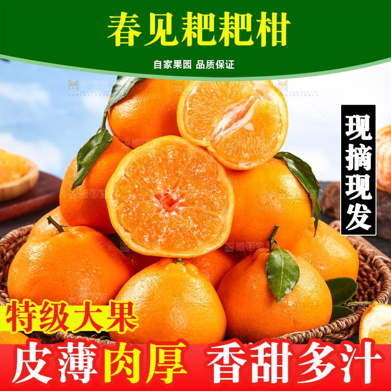 篮子里的新鲜耙耙柑