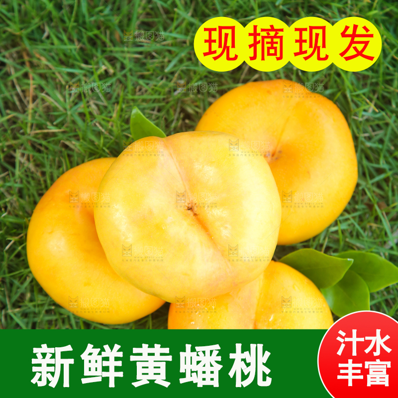 草坪上放着黄金蟠桃