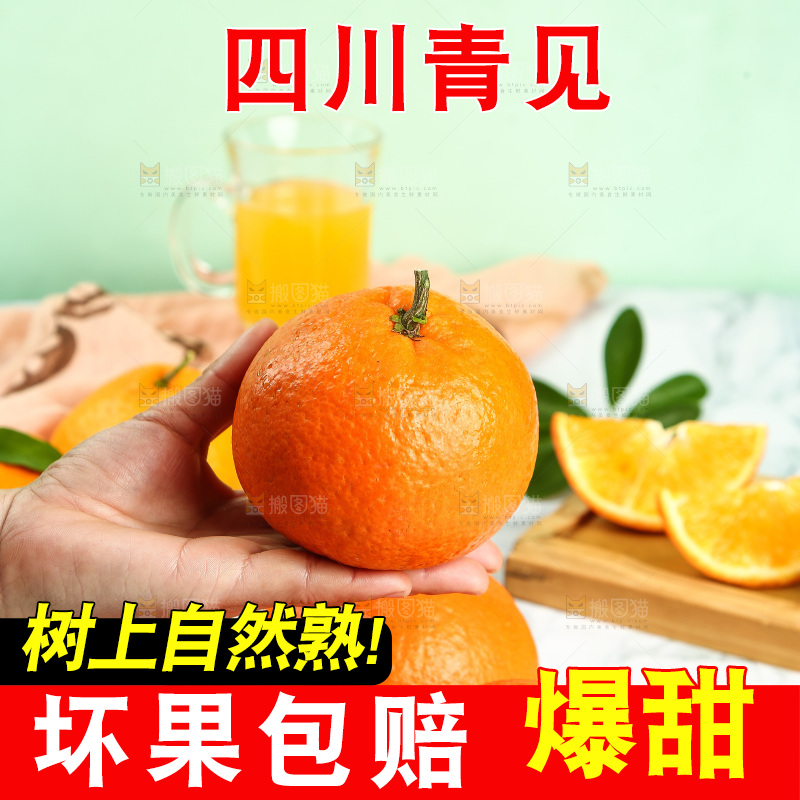 手里拿着青见柑橘