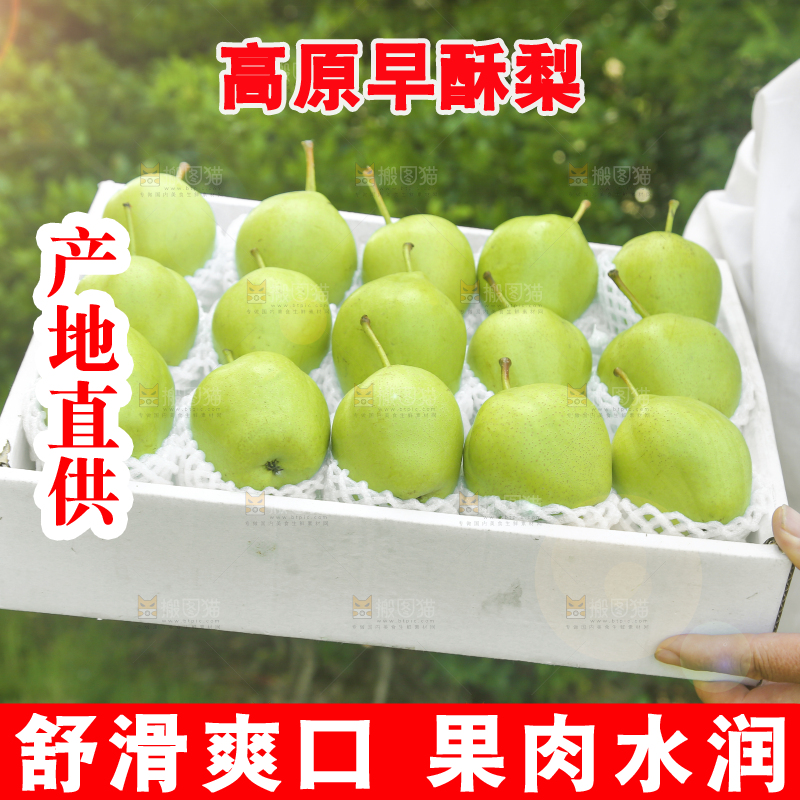 手端着一盒早酥梨