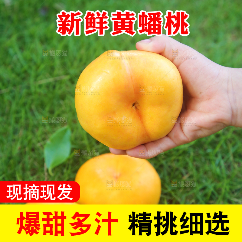手拿着的黄金蟠桃