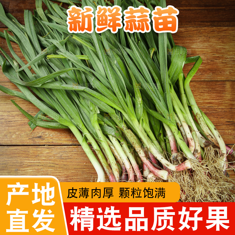 木底上放着新鲜蒜苗