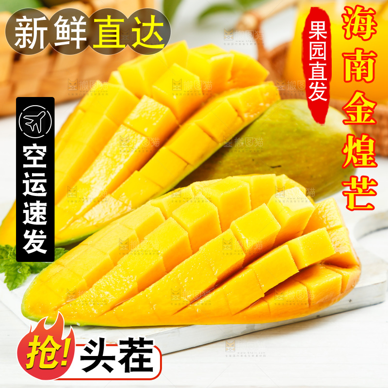 白底上放着水仙芒