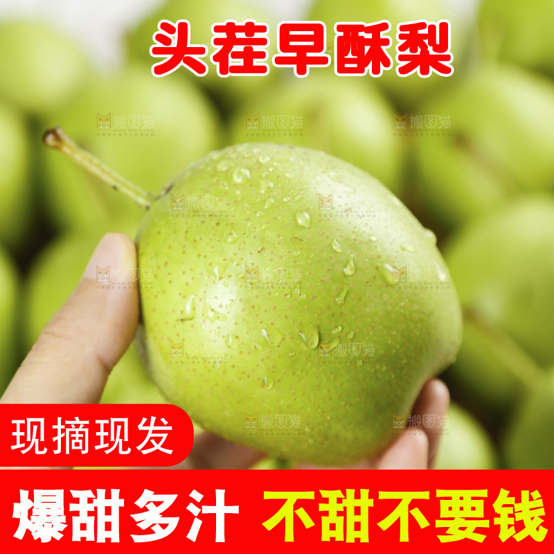 手上捧着早酥梨
