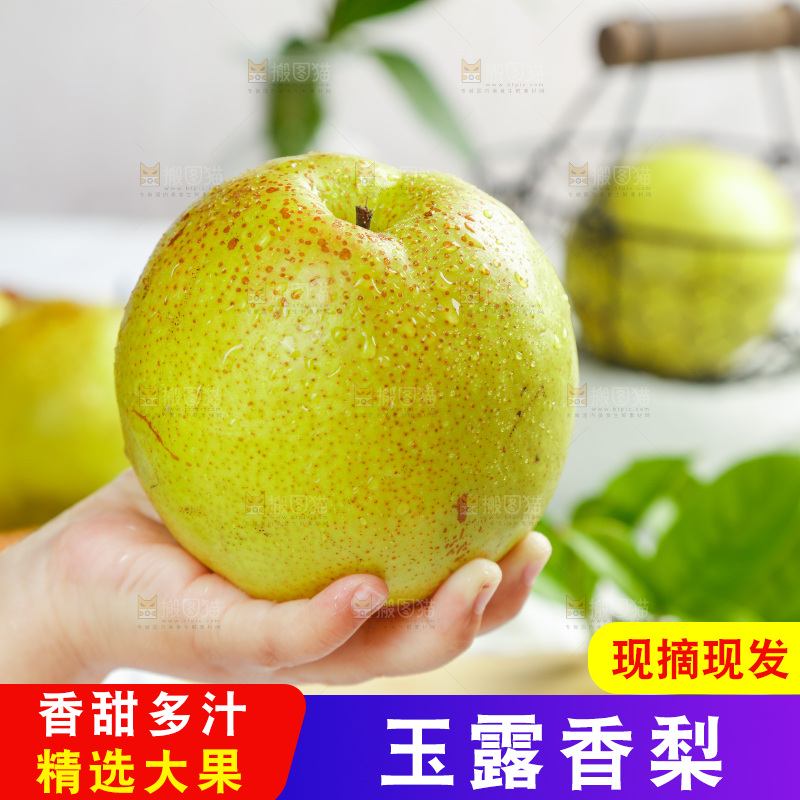 手上拿着的玉露香梨