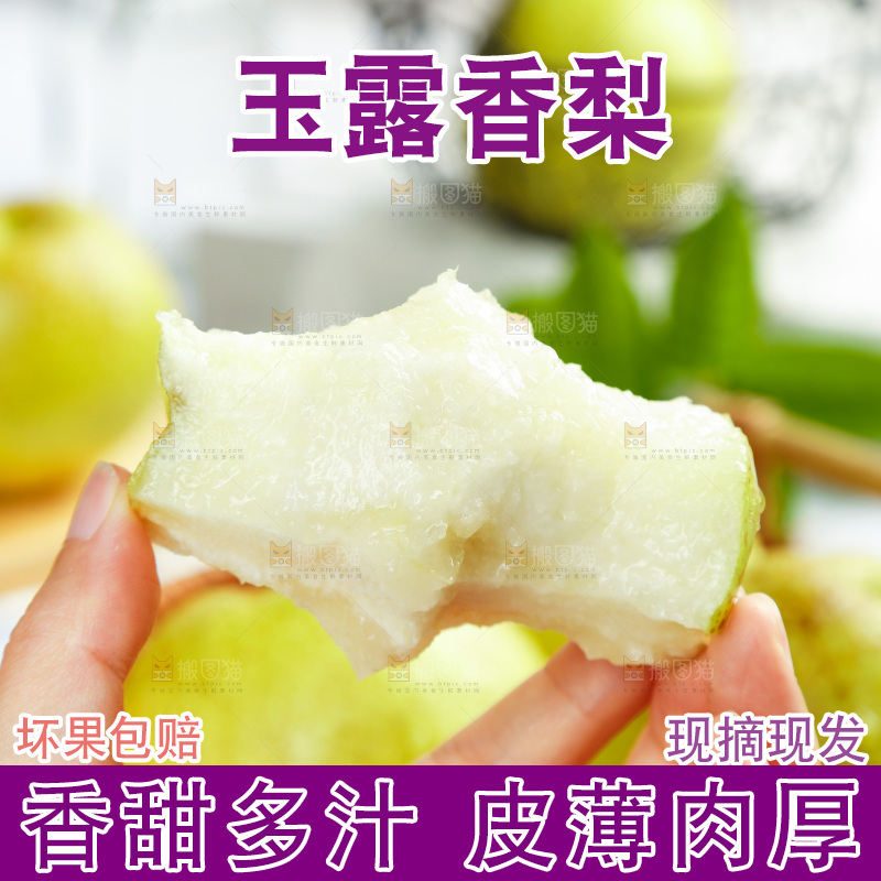 手上拿着的玉露香梨