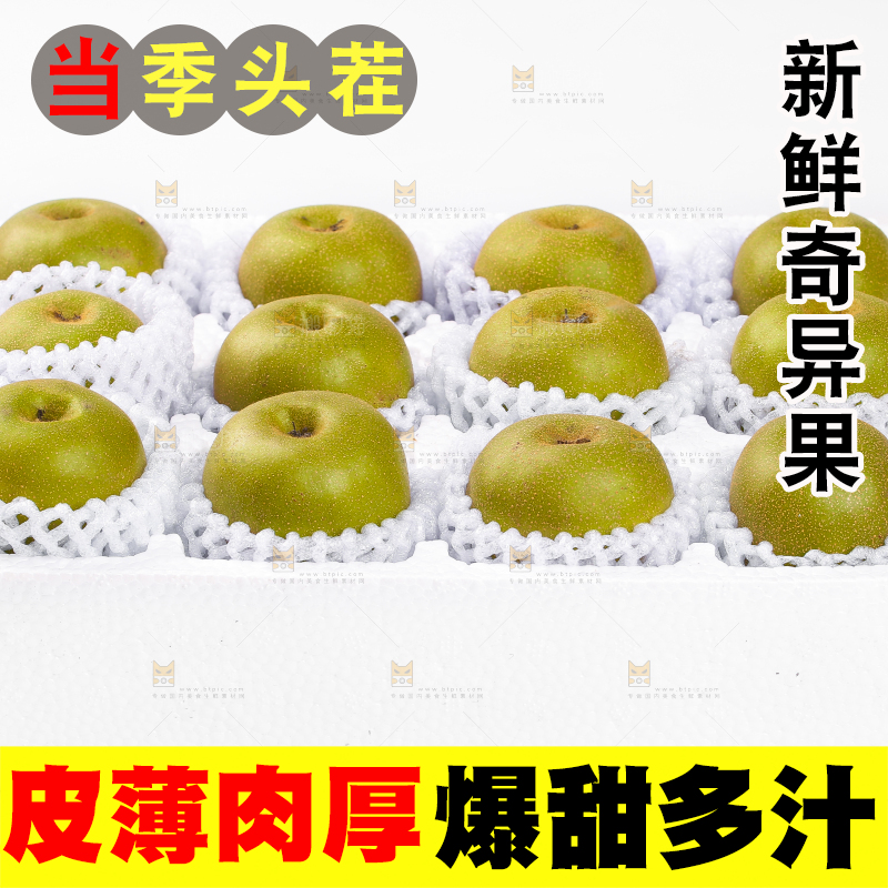 白底上的猕猴桃