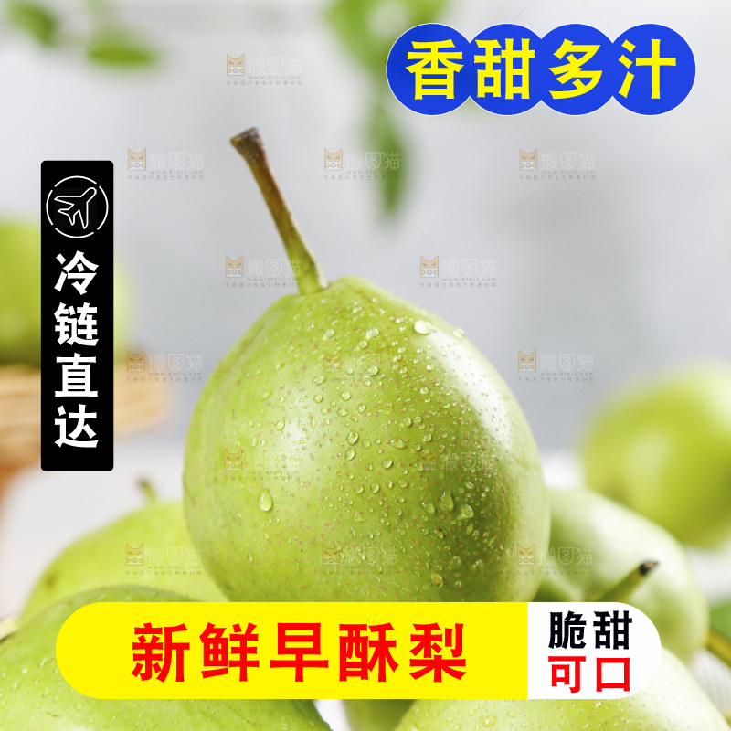 一堆早酥梨