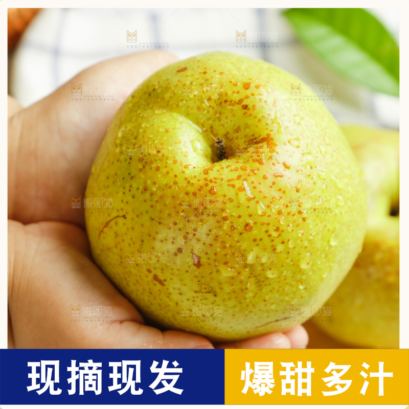 手上拿着的玉露香梨