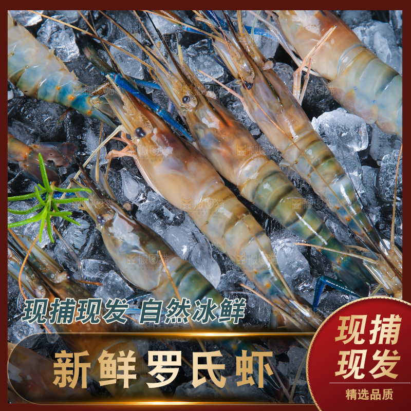 冰冻罗氏虾