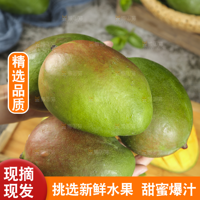 手上捧着的凯特大芒果