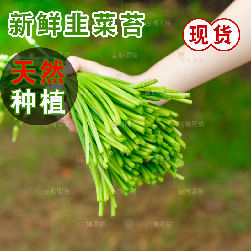 手上拿着的韭菜苔