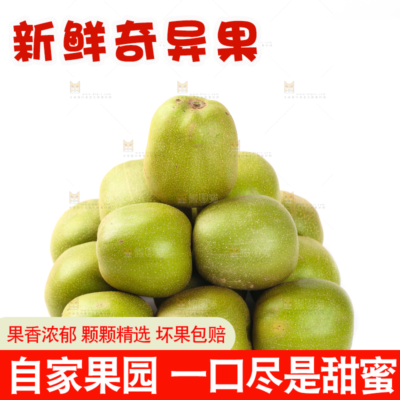 白底上的猕猴桃