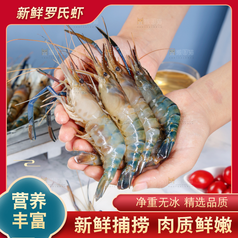 手上捧着罗氏虾