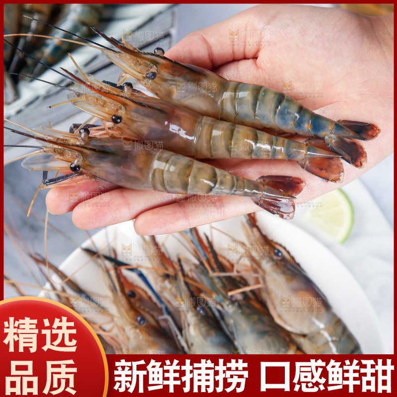 手上拿着罗氏虾
