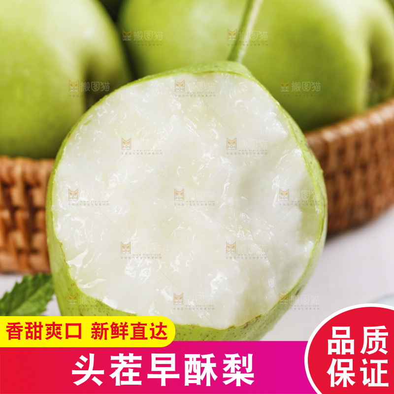 白底上放着陕西早酥梨