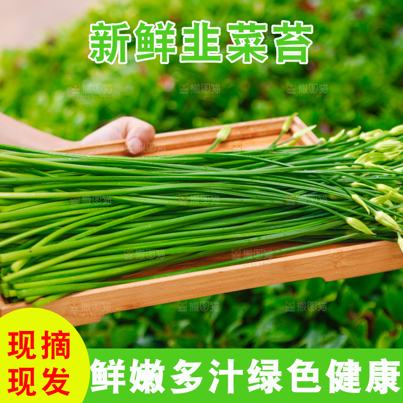 手里端着一盘新鲜韭苔
