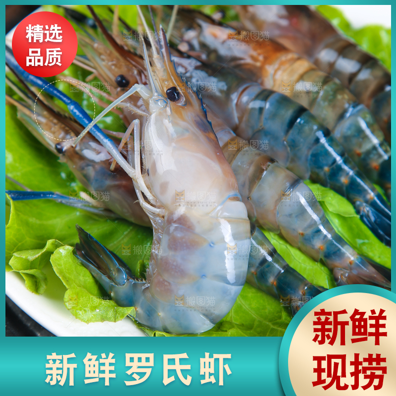 盘子里放着的罗氏沼虾