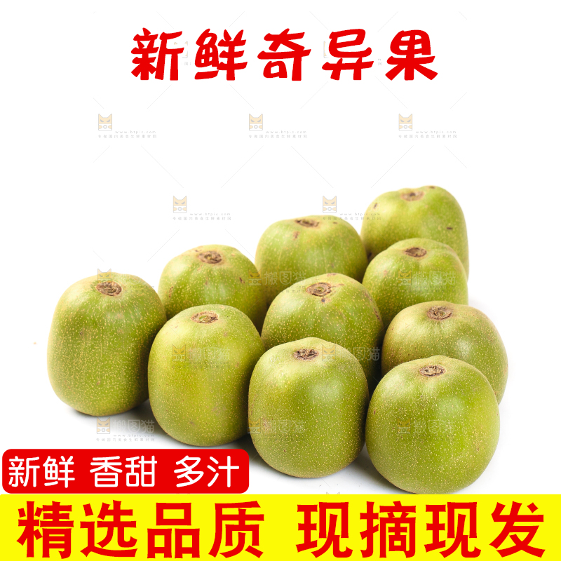 白底上的猕猴桃