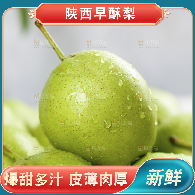一堆早酥梨