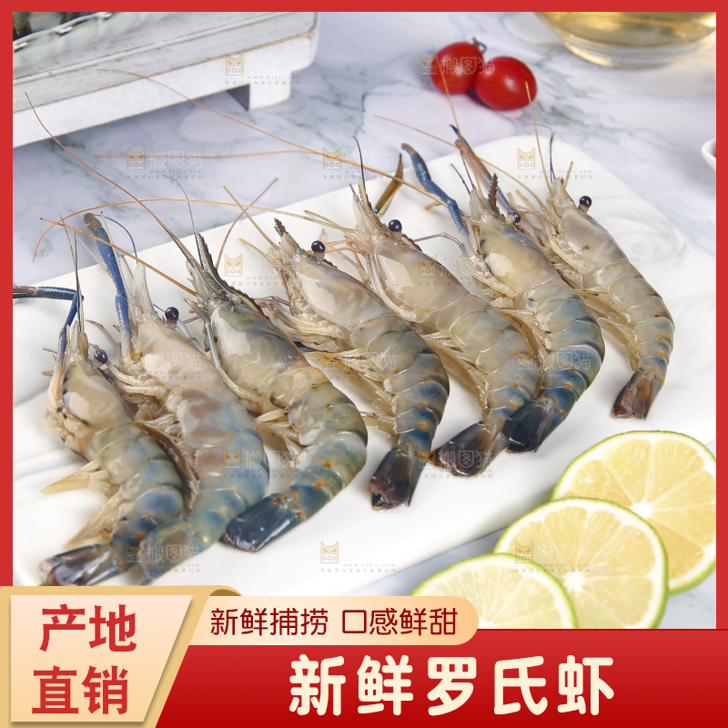 石板上放着罗氏沼虾