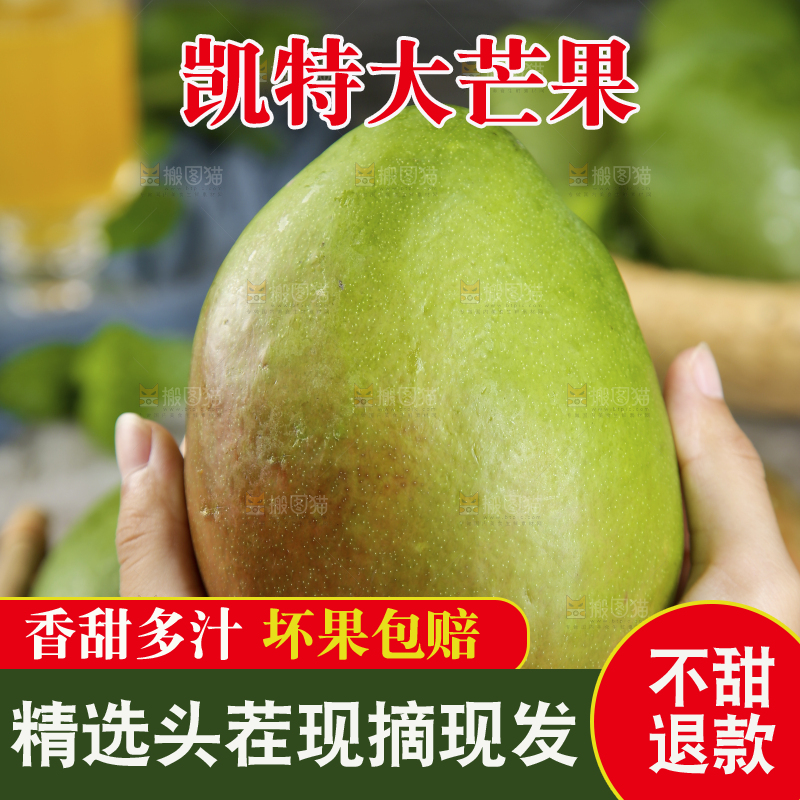 手上拿着的凯特芒