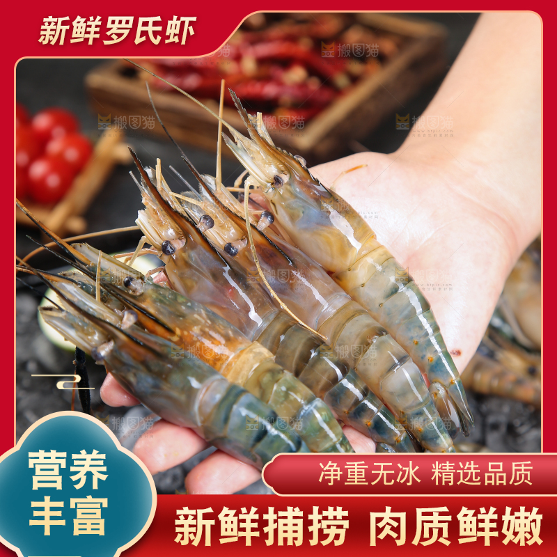 手上捧着罗氏沼虾