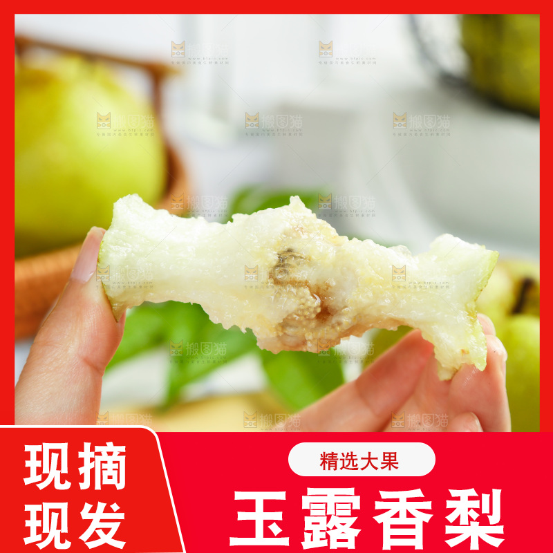 手上拿着的玉露香梨