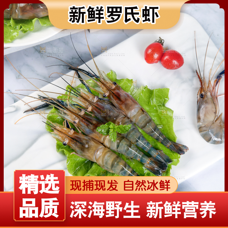 石底上放着罗氏沼虾