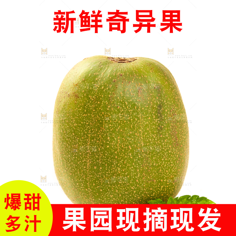 白底上的猕猴桃