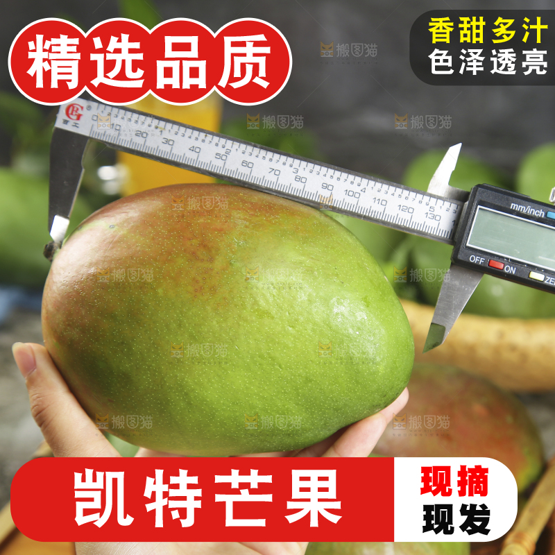 手上测量着凯特芒