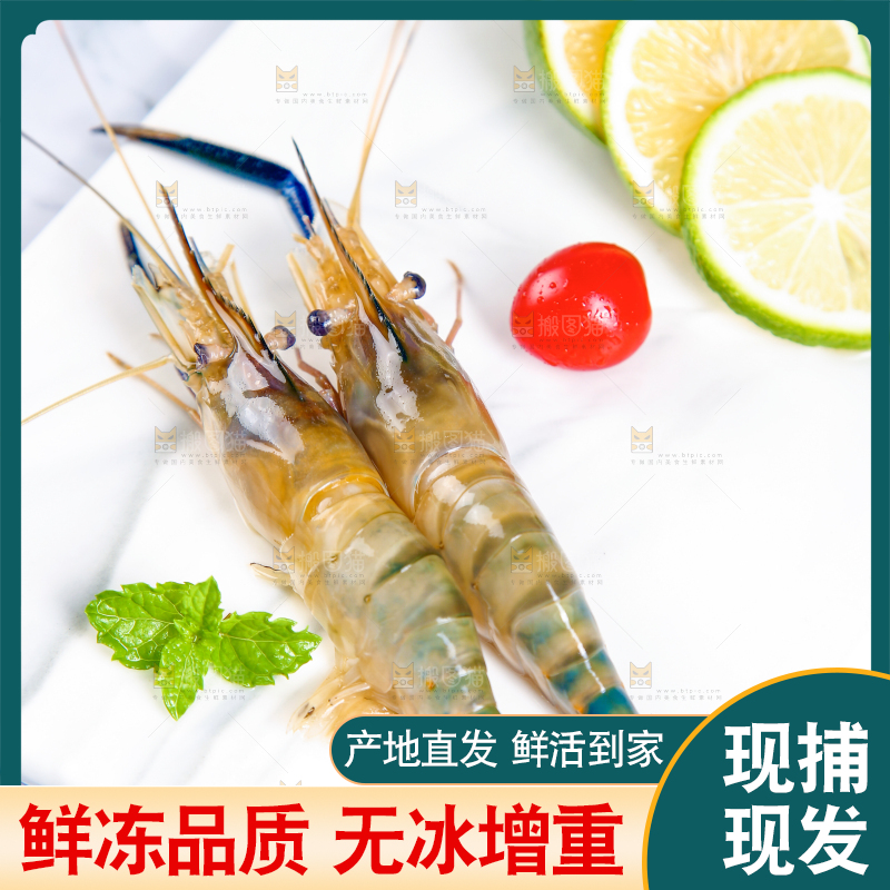 石底上放着罗氏沼虾