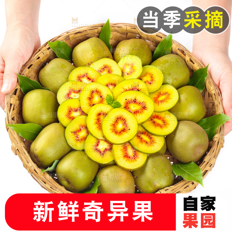 篮子里放着新鲜奇异果