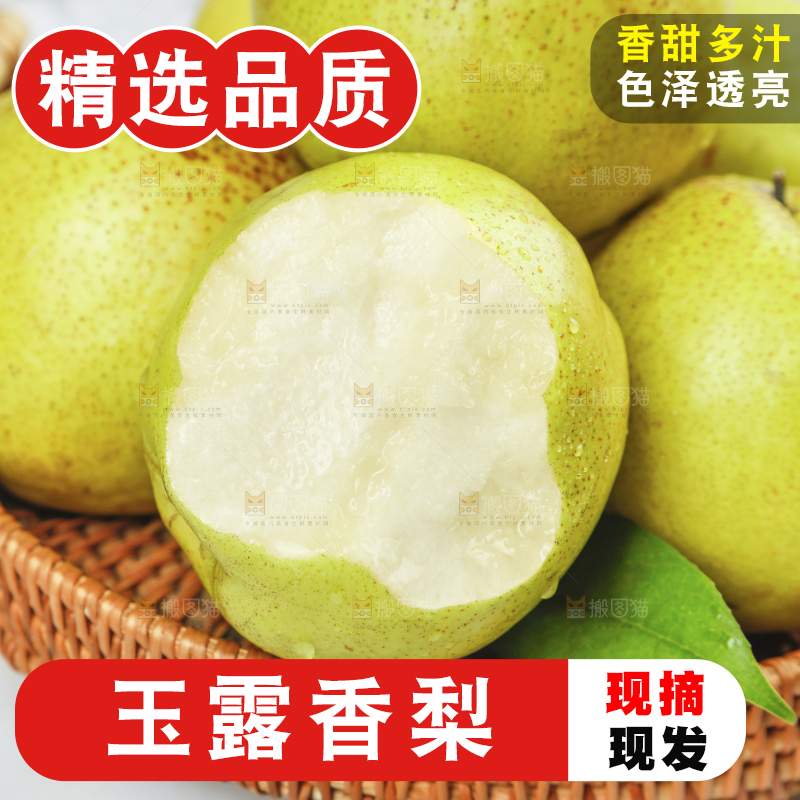 篮子里放着的隰县玉露香梨