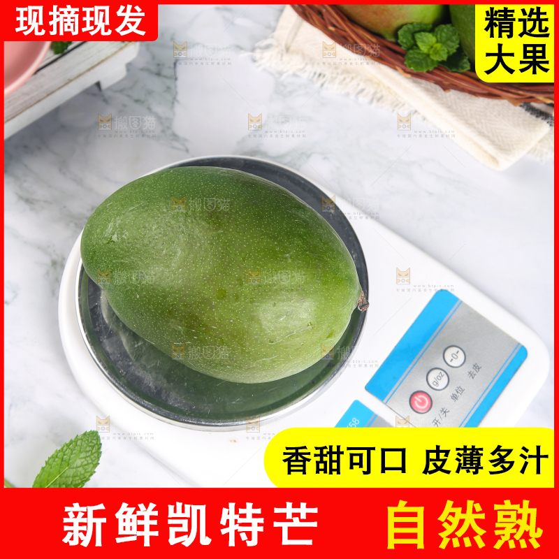 秤上放着的凯特芒