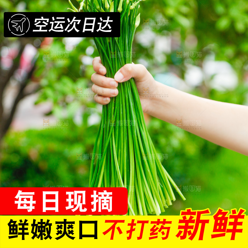 手上拿着韭菜苔