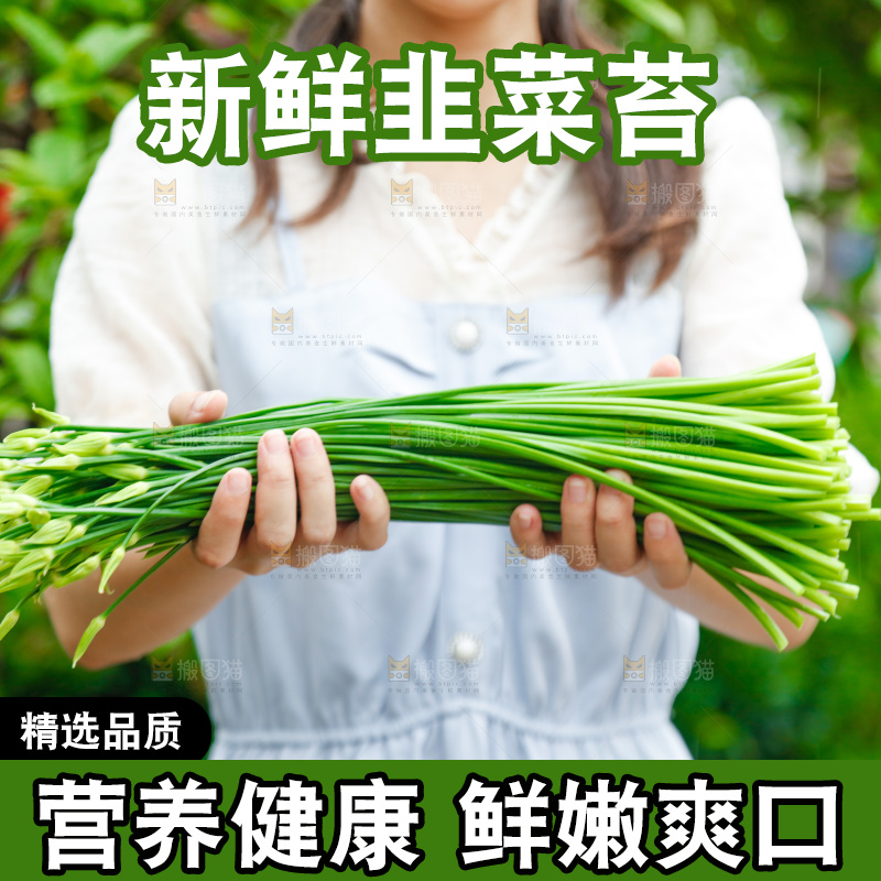 手上捧着韭苔