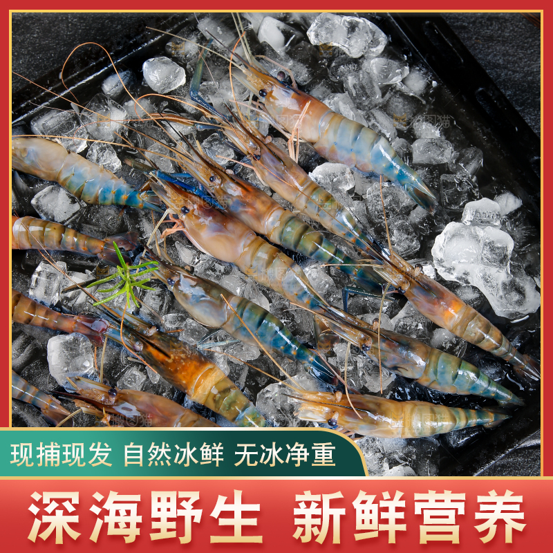 黑底上放着的大头虾