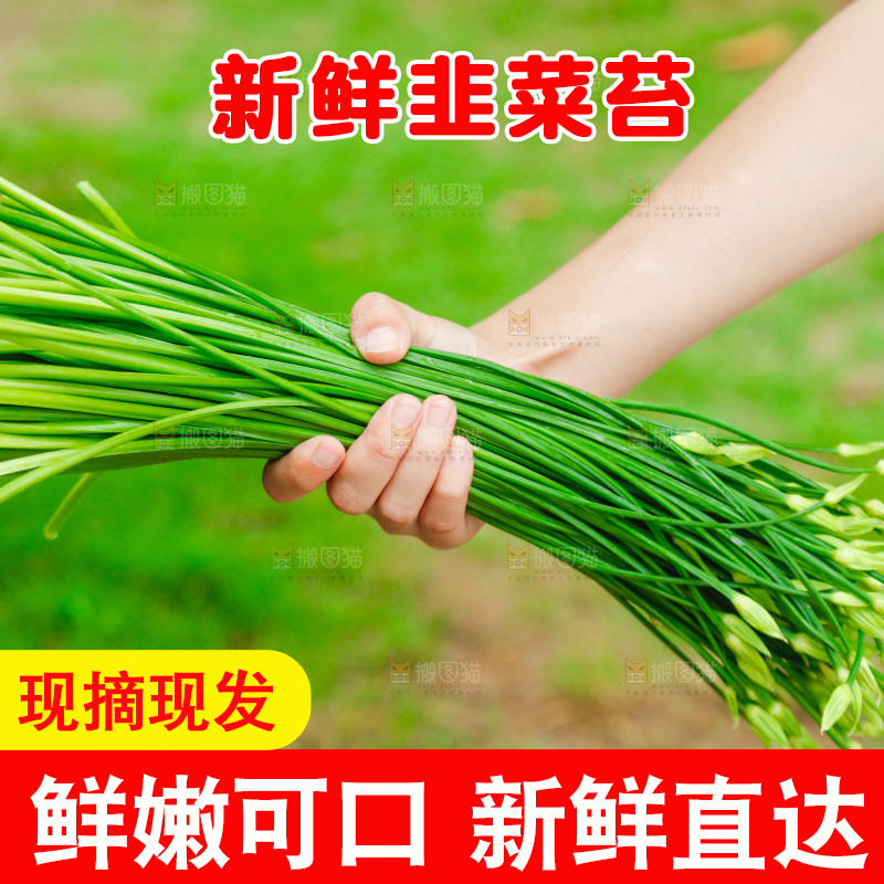 手上拿着韭菜苔